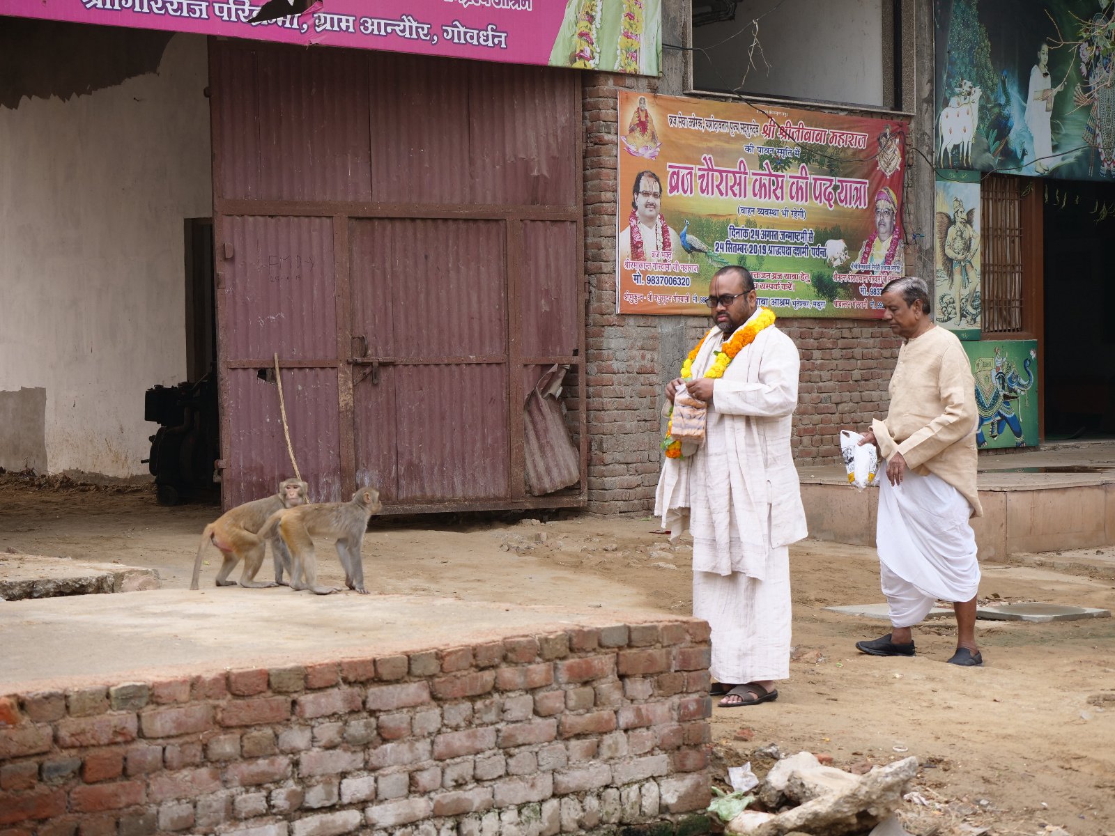  43 Gopashtami Radha kunda Govardhan 19.11.04